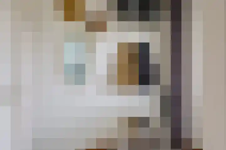De Mommers 13 Waalre thumbnail 12