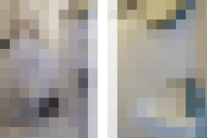 De Mommers 13 Waalre thumbnail 13