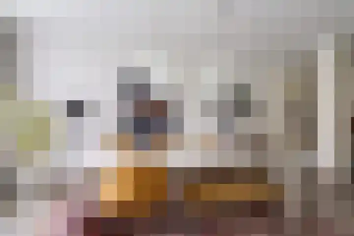 De Mommers 13 Waalre thumbnail 14