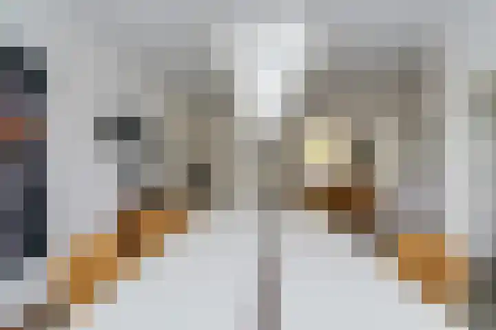De Mommers 13 Waalre thumbnail 16