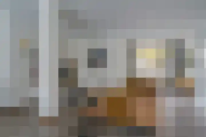 De Mommers 13 Waalre thumbnail 17