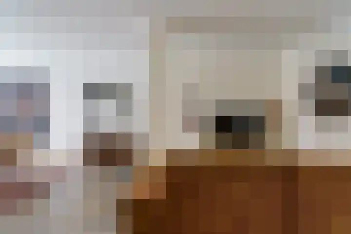 De Mommers 13 Waalre thumbnail 18