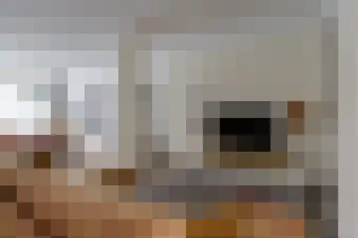 De Mommers 13 Waalre thumbnail 19