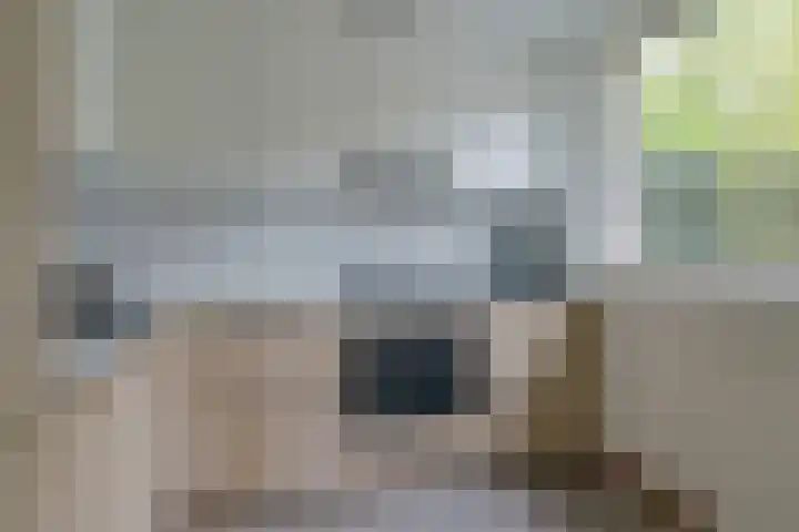 De Mommers 13 Waalre thumbnail 21