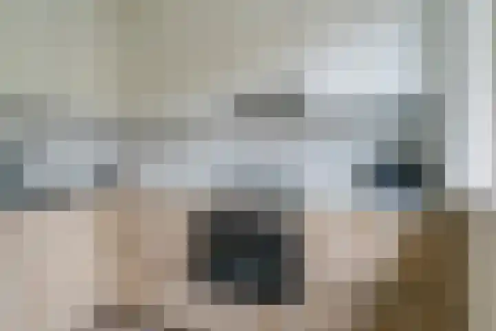 De Mommers 13 Waalre thumbnail 22