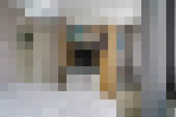 De Mommers 13 Waalre thumbnail 27