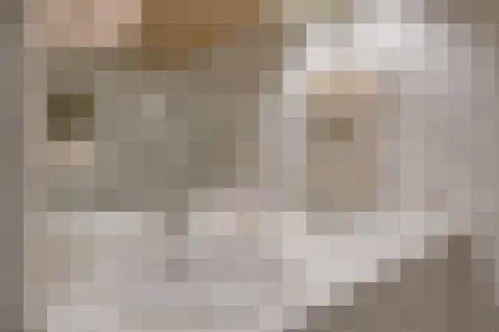 De Mommers 13 Waalre thumbnail 35