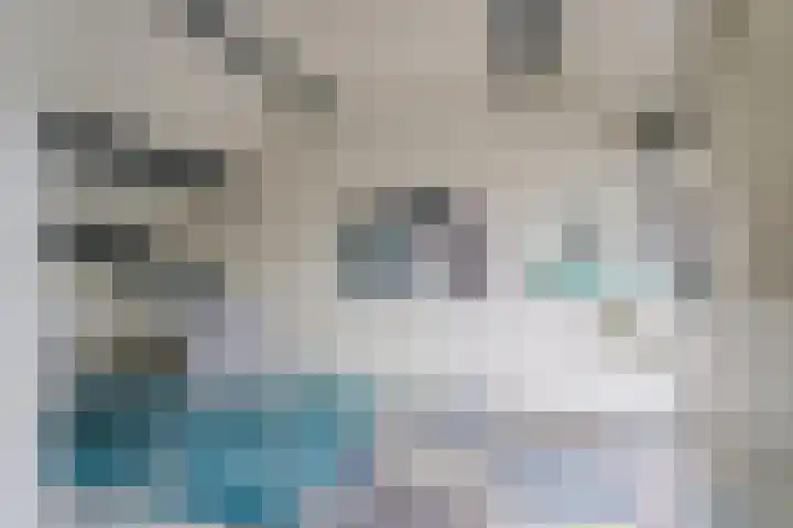 De Mommers 13 Waalre thumbnail 39