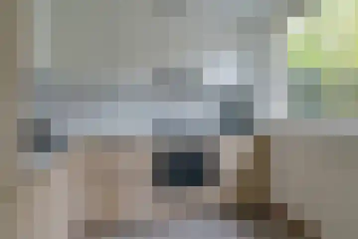 De Mommers 13 Waalre thumbnail 4