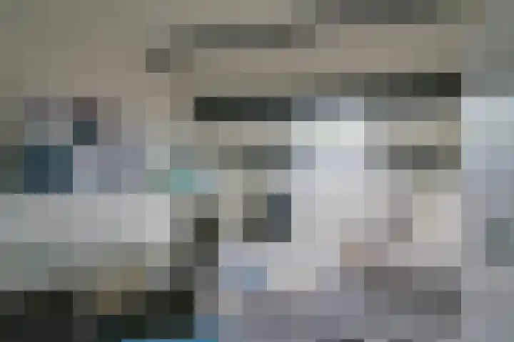 De Mommers 13 Waalre thumbnail 41