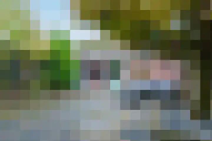 De Mommers 13 Waalre thumbnail 43