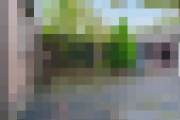 De Mommers 13 Waalre thumbnail 44