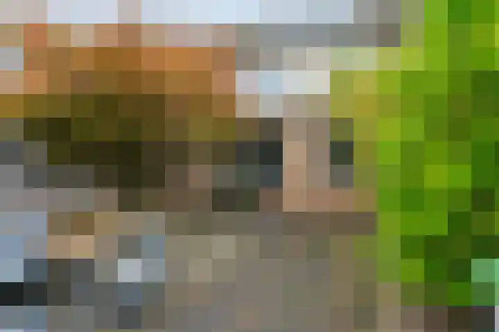 De Mommers 13 Waalre thumbnail 46