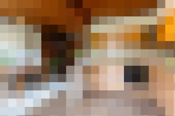 De Mommers 25 Waalre thumbnail 10