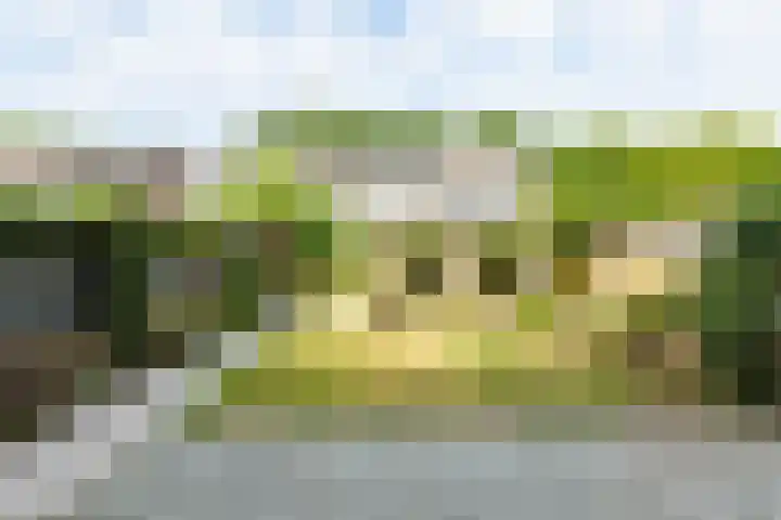 De Mommers 25 Waalre thumbnail 21