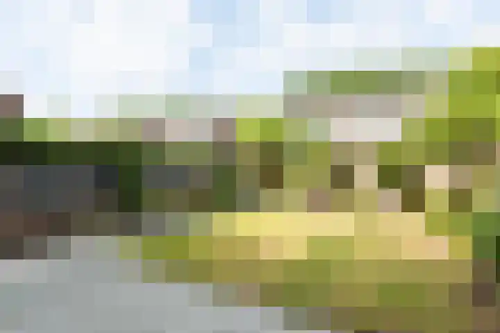 De Mommers 25 Waalre thumbnail 22