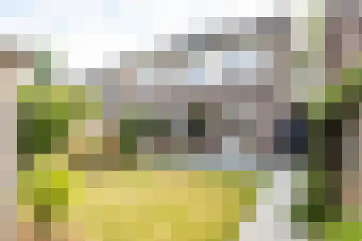 De Mommers 25 Waalre thumbnail 23
