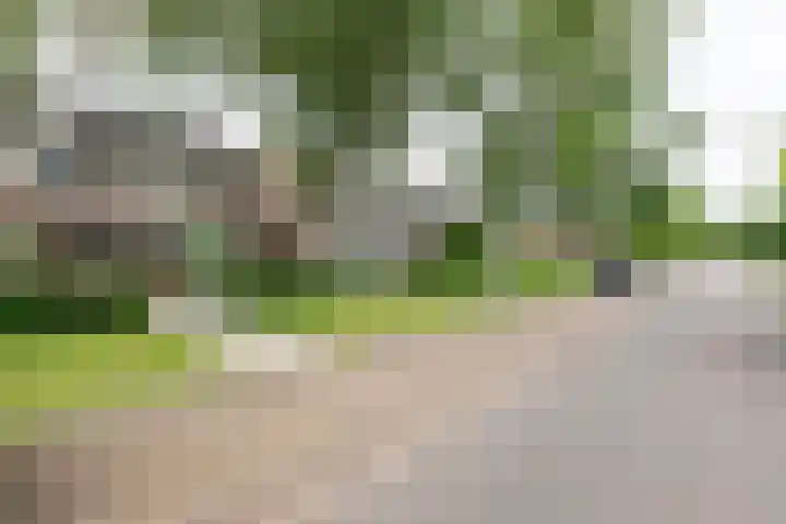 De Mommers 25 Waalre thumbnail 26