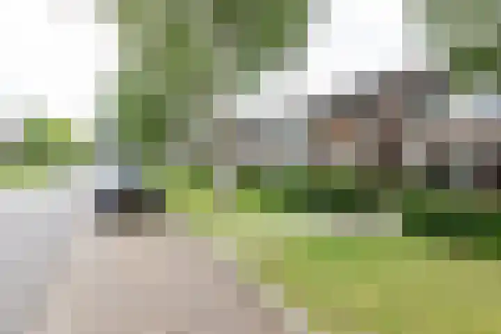De Mommers 25 Waalre thumbnail 27