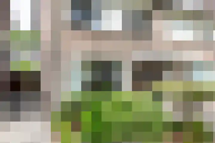 De Mommers 25 Waalre thumbnail 29