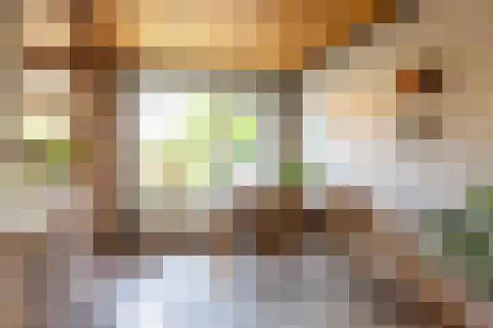 De Mommers 25 Waalre thumbnail 6