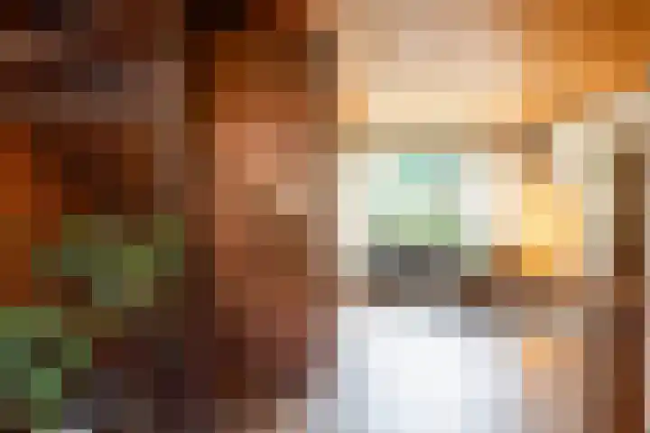 De Mommers 25 Waalre thumbnail 7