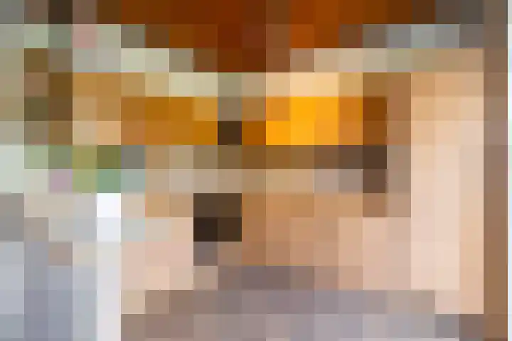 De Mommers 25 Waalre thumbnail 9