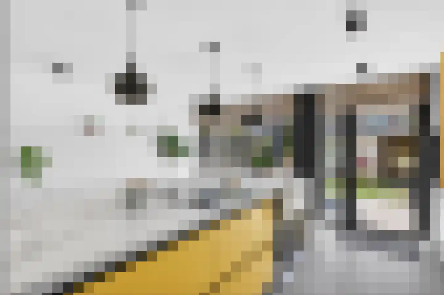 De Mommers 31 Waalre thumbnail 17