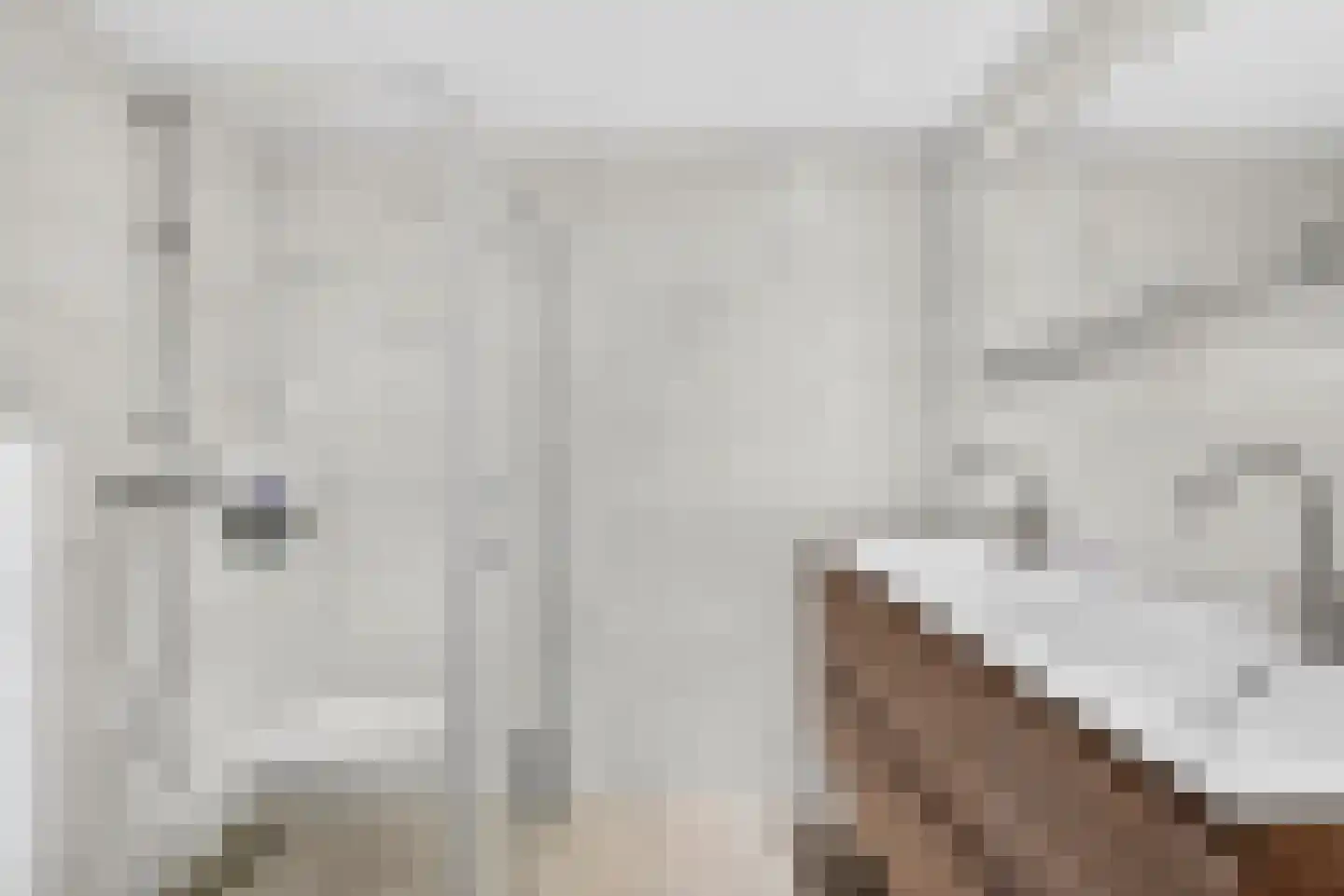 De Mommers 31 Waalre thumbnail 24