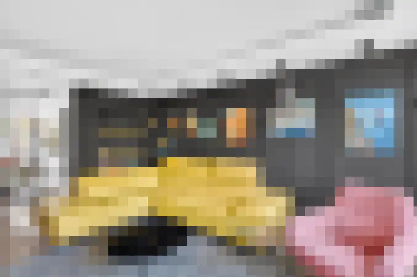 De Mommers 31 Waalre thumbnail 8