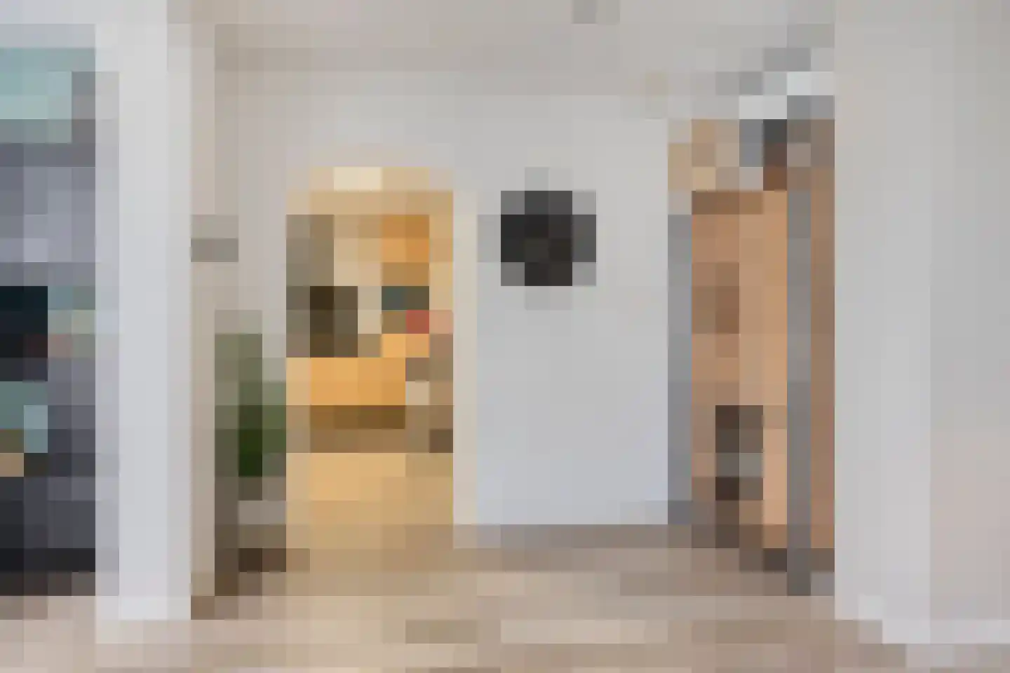 De Mommers 4 Waalre thumbnail 13