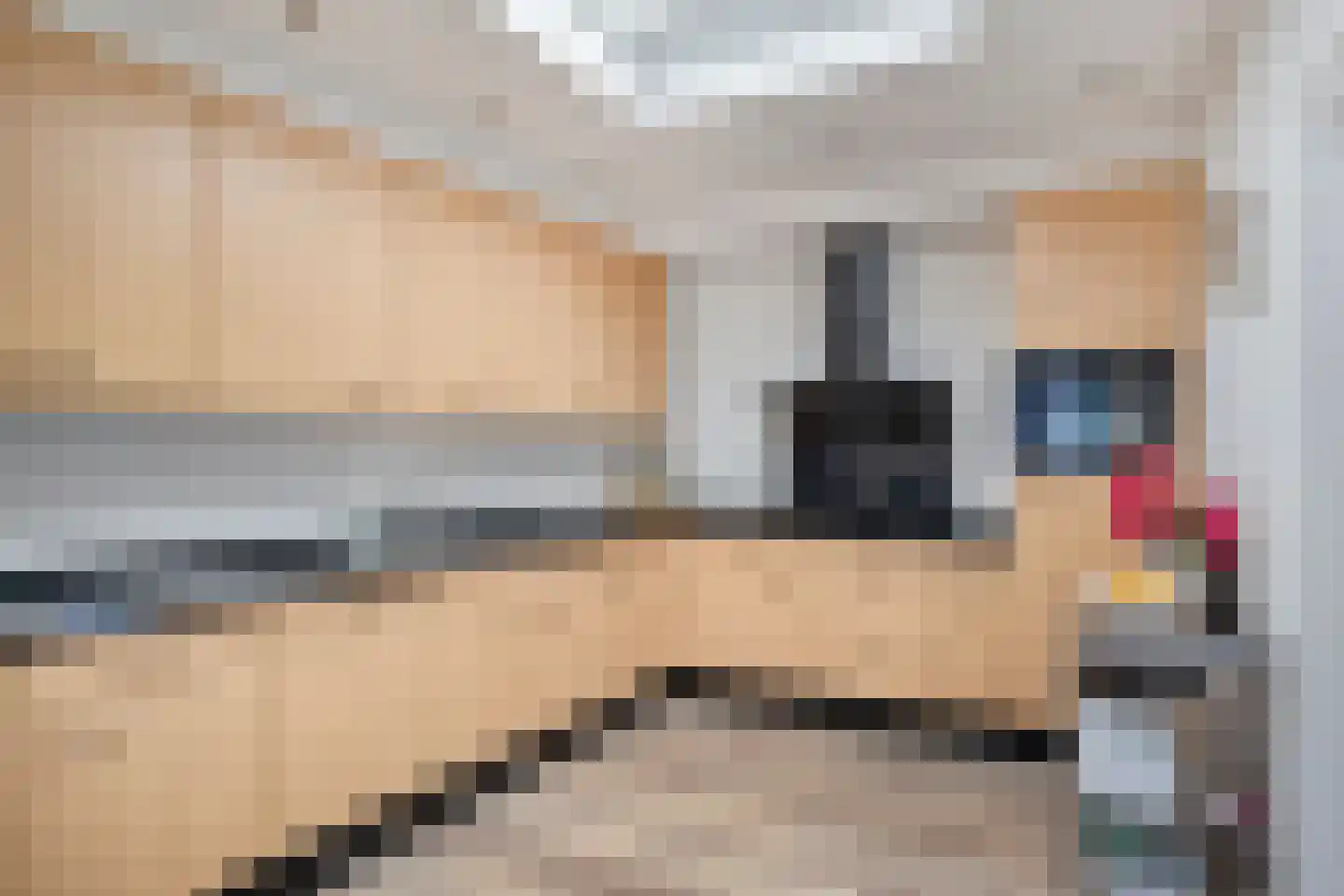 De Mommers 4 Waalre thumbnail 15