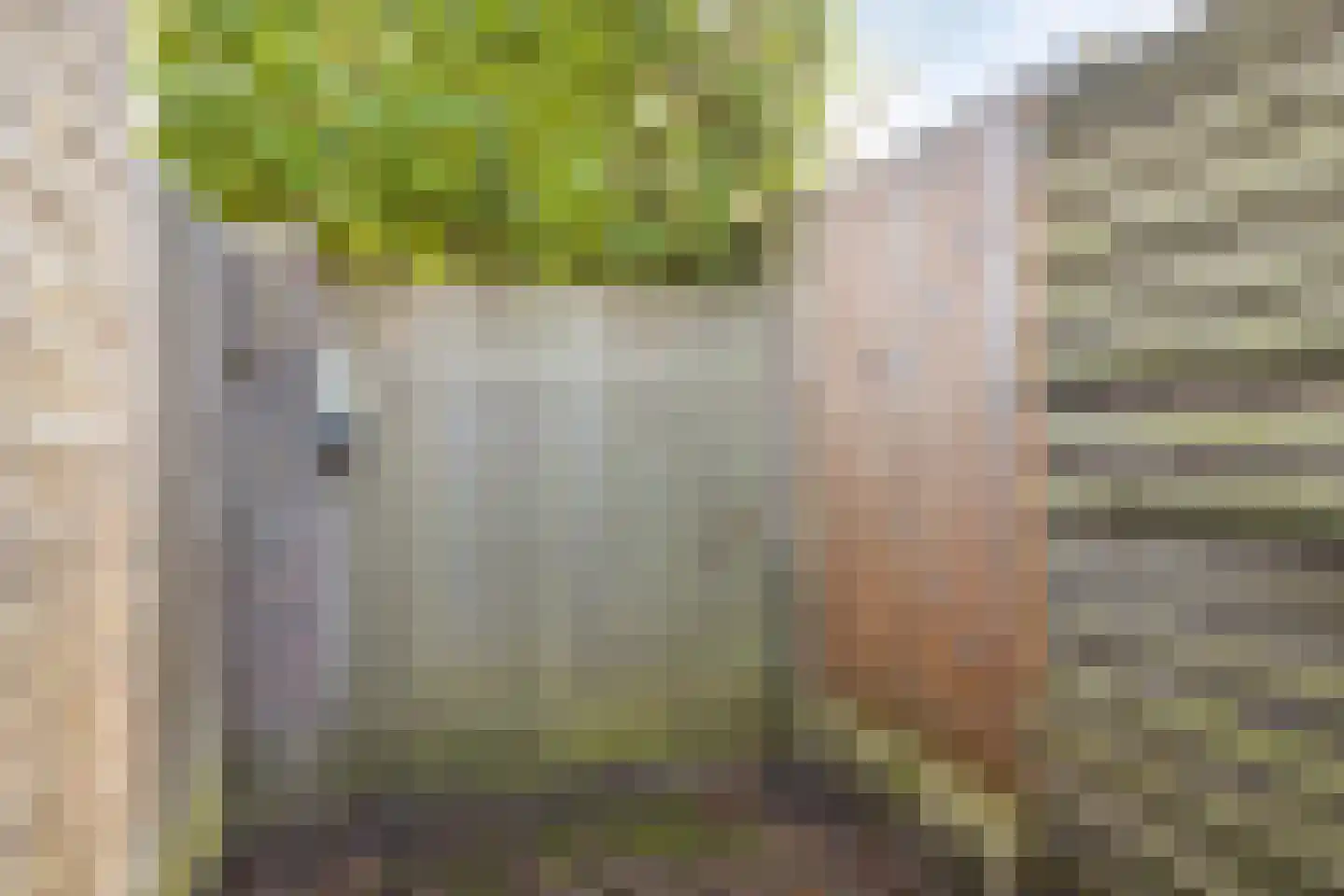 De Mommers 4 Waalre thumbnail 33