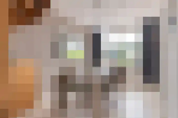 De Mommers 7 Waalre thumbnail 10