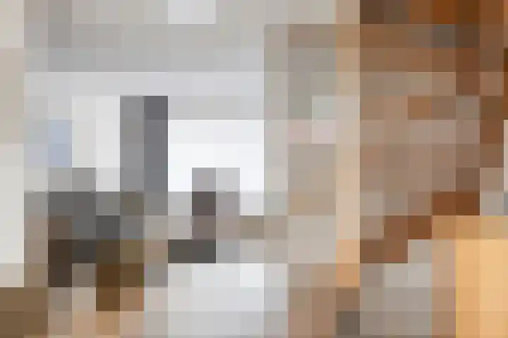 De Mommers 7 Waalre thumbnail 11