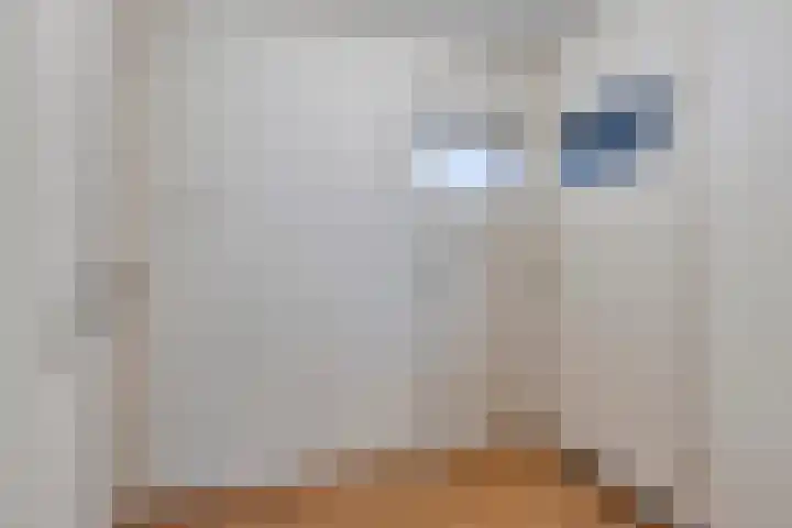 De Mommers 7 Waalre thumbnail 16