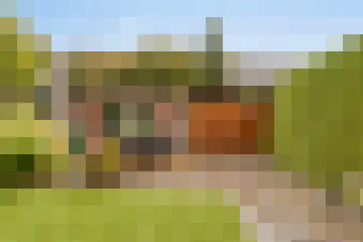 De Mommers 7 Waalre thumbnail 26