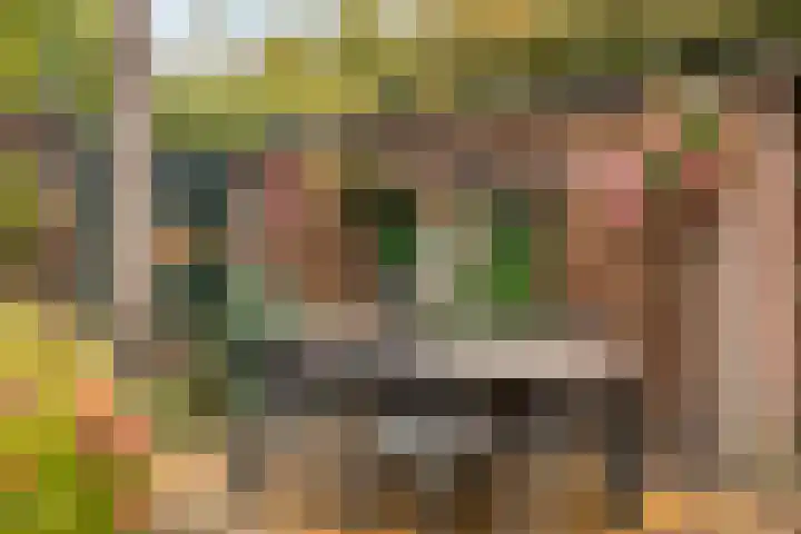 De Mommers 7 Waalre thumbnail 29
