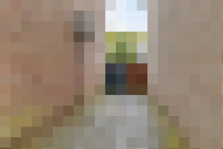 De Mommers 7 Waalre thumbnail 30