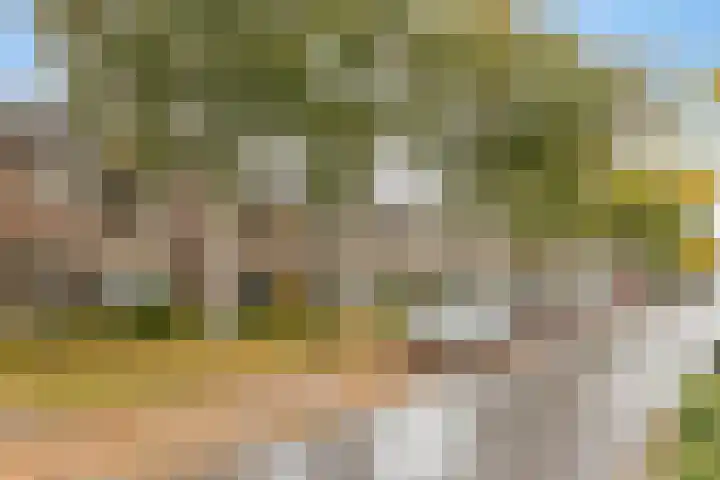 De Mommers 7 Waalre thumbnail 32