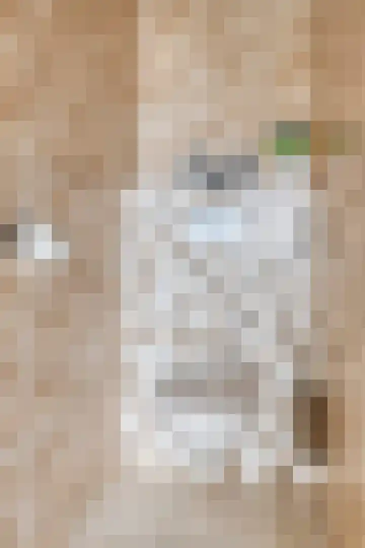 De Mommers 7 Waalre thumbnail 4