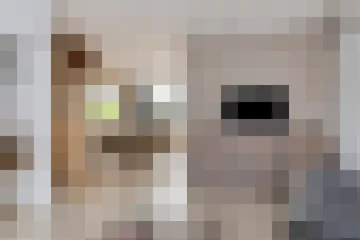De Mommers 7 Waalre thumbnail 7