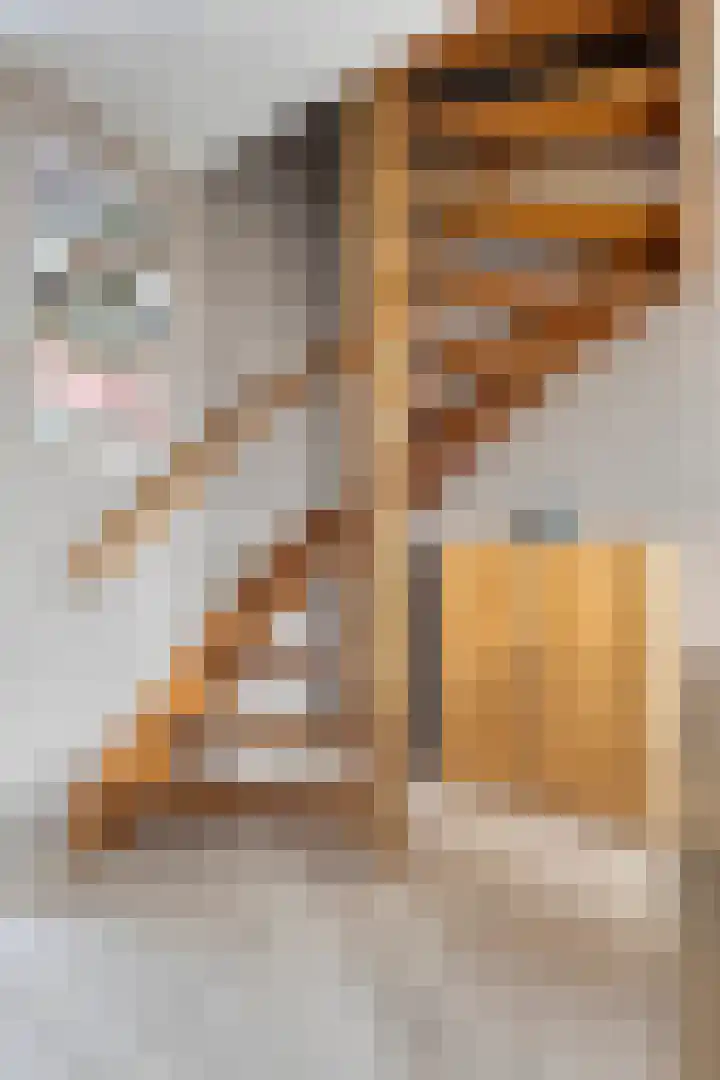 De Mommers 7 Waalre thumbnail 9