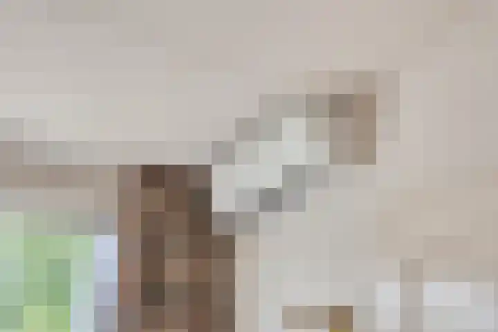 De Mommers 8 Waalre thumbnail 10