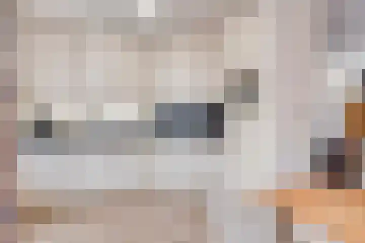 De Mommers 8 Waalre thumbnail 14