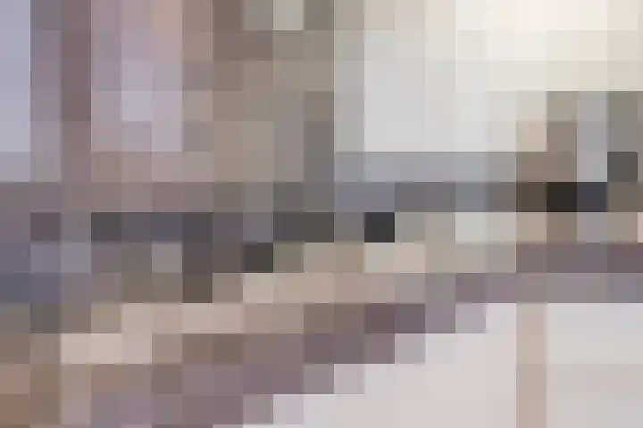 De Mommers 8 Waalre thumbnail 15