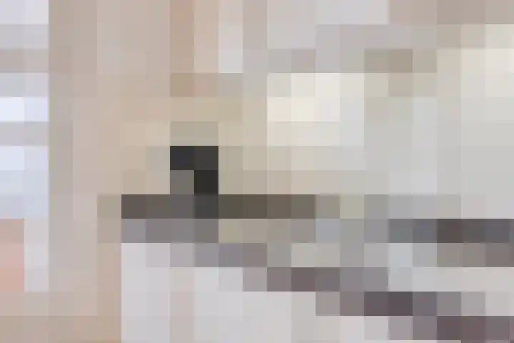 De Mommers 8 Waalre thumbnail 16