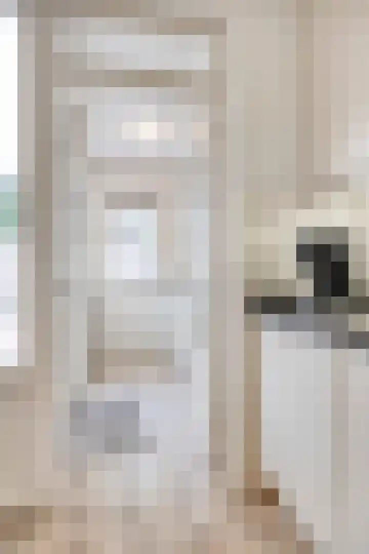 De Mommers 8 Waalre thumbnail 17