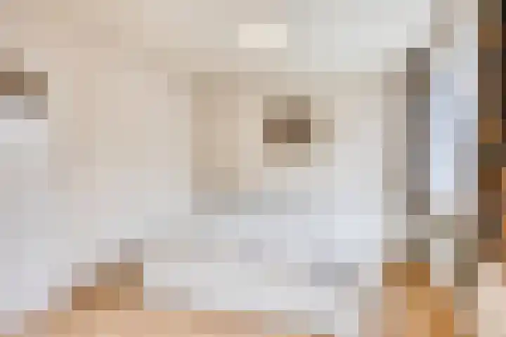 De Mommers 8 Waalre thumbnail 21