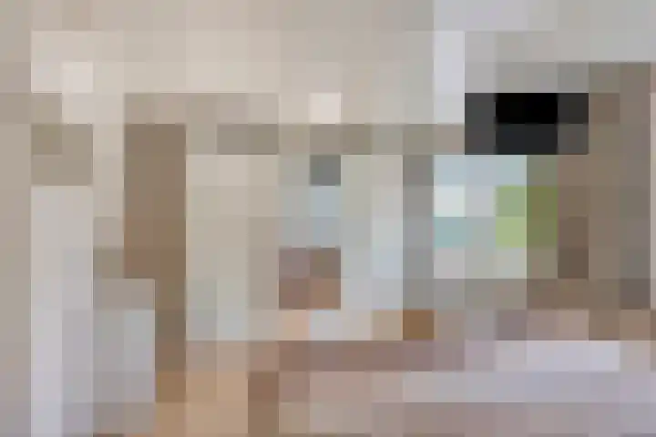 De Mommers 8 Waalre thumbnail 28